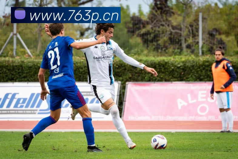 milan登录入口发展历程